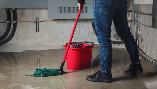Best Flood restoration services  in Whitewater, CA