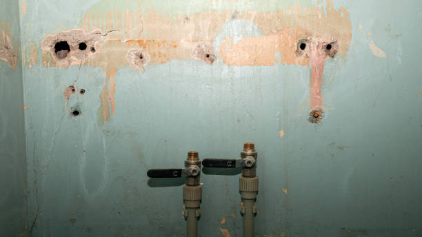 Best Flooded house restoration  in Whitewater, CA