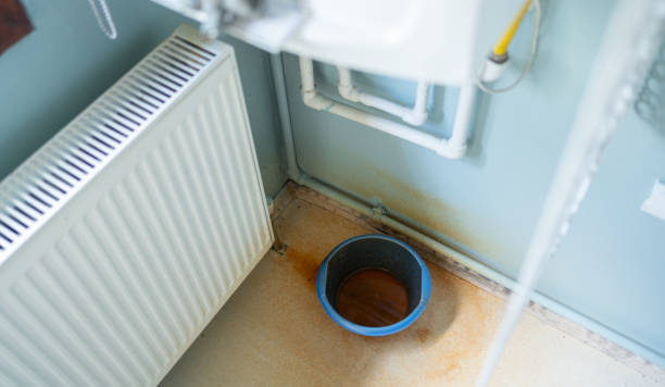 Best Water damage restoration services  in Whitewater, CA