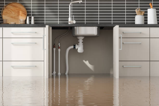 Best Basement water damage restoration  in Whitewater, CA