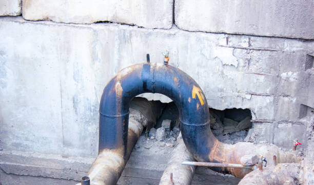 Best Water damage mitigation services  in Whitewater, CA
