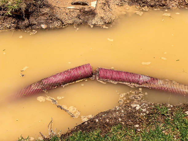  Whitewater, CA Water damage restoration Pros