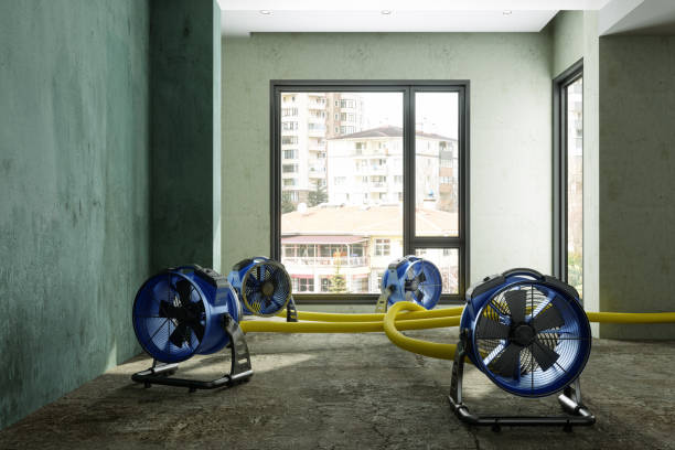 Best Water damage restoration process  in Whitewater, CA