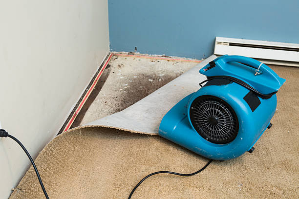 Best Ceiling water damage repair  in Whitewater, CA