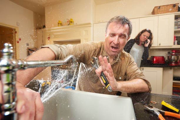Best Water damage contractors near me  in Whitewater, CA